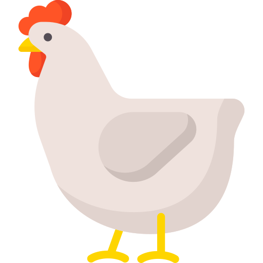 Chicken farming illustration